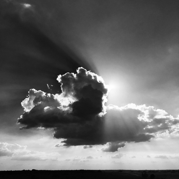 Meet your Posher, Jolinda - Picture 1 of 1